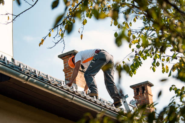 Best Commercial Roofing Services  in Skyline, AL