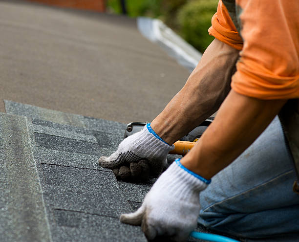 Best Gutter Installation and Roofing  in Skyline, AL